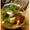 Różne typy terrarium z przezroczystym szklanym wazonem